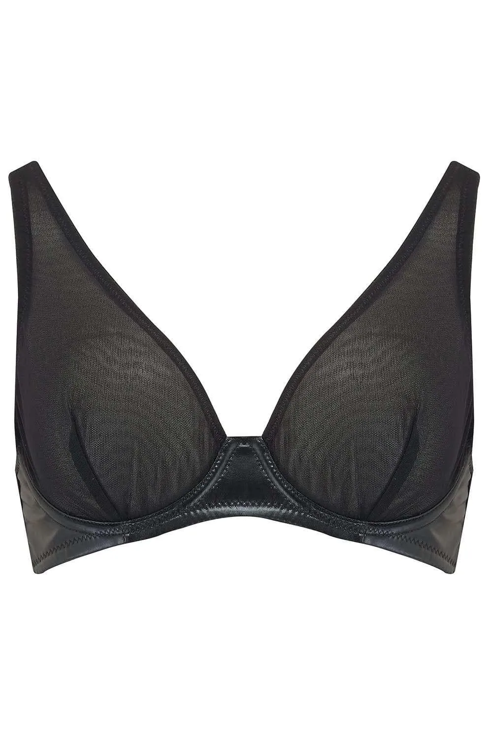 Dahlia Plunge Bra (Available in B-G cup sizes)