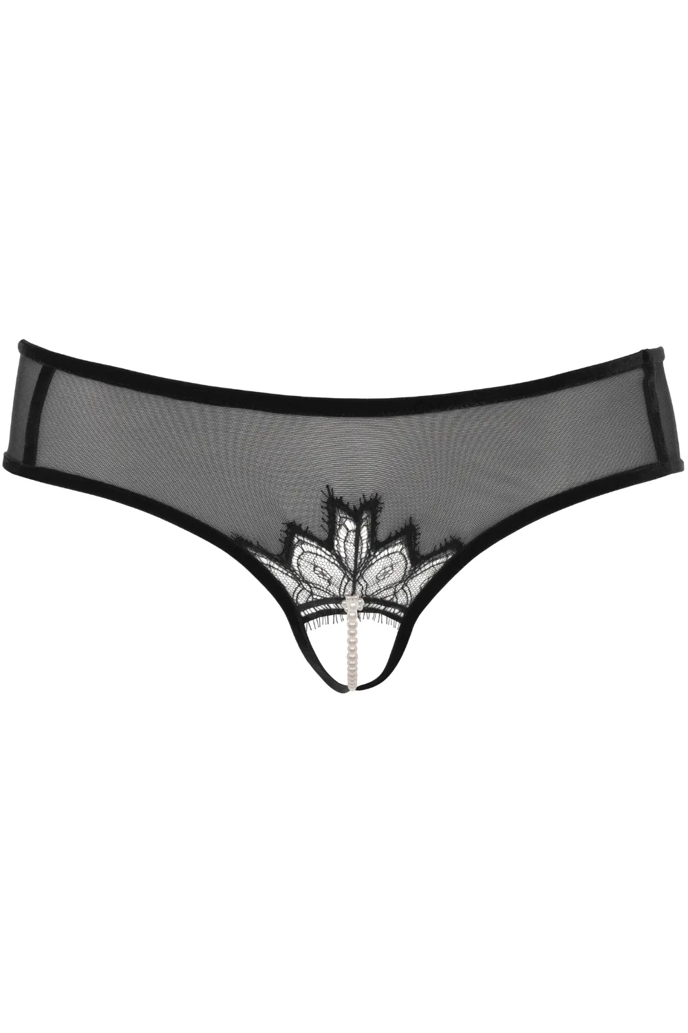 Kyoto Daisy Brief