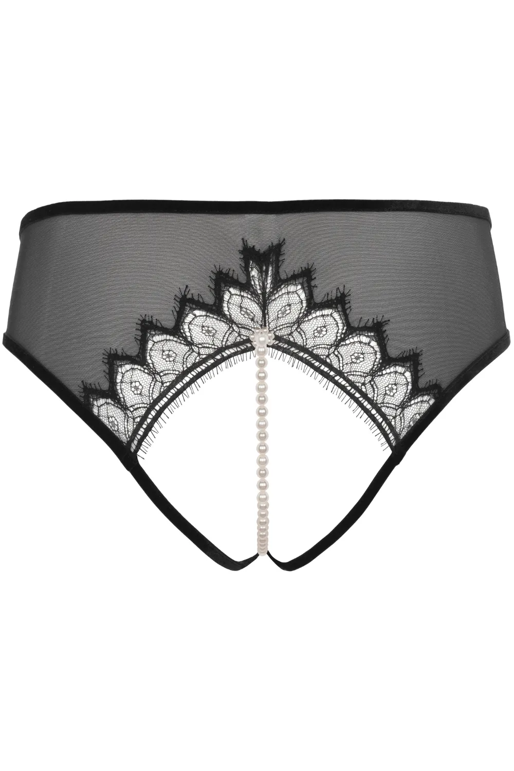 Kyoto Daisy Brief