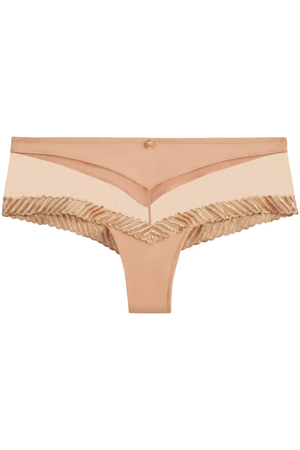 Sheer Emotion Cheeky Brief