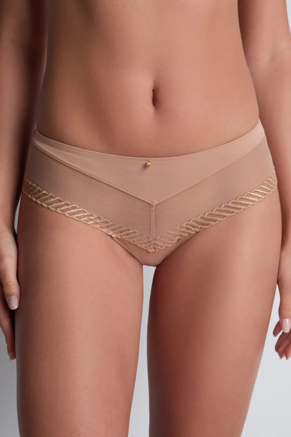 Sheer Emotion Cheeky Brief
